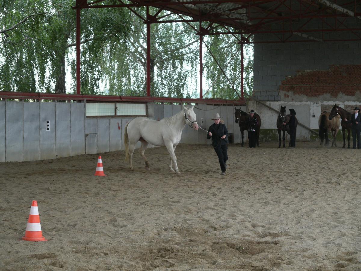 P1030267