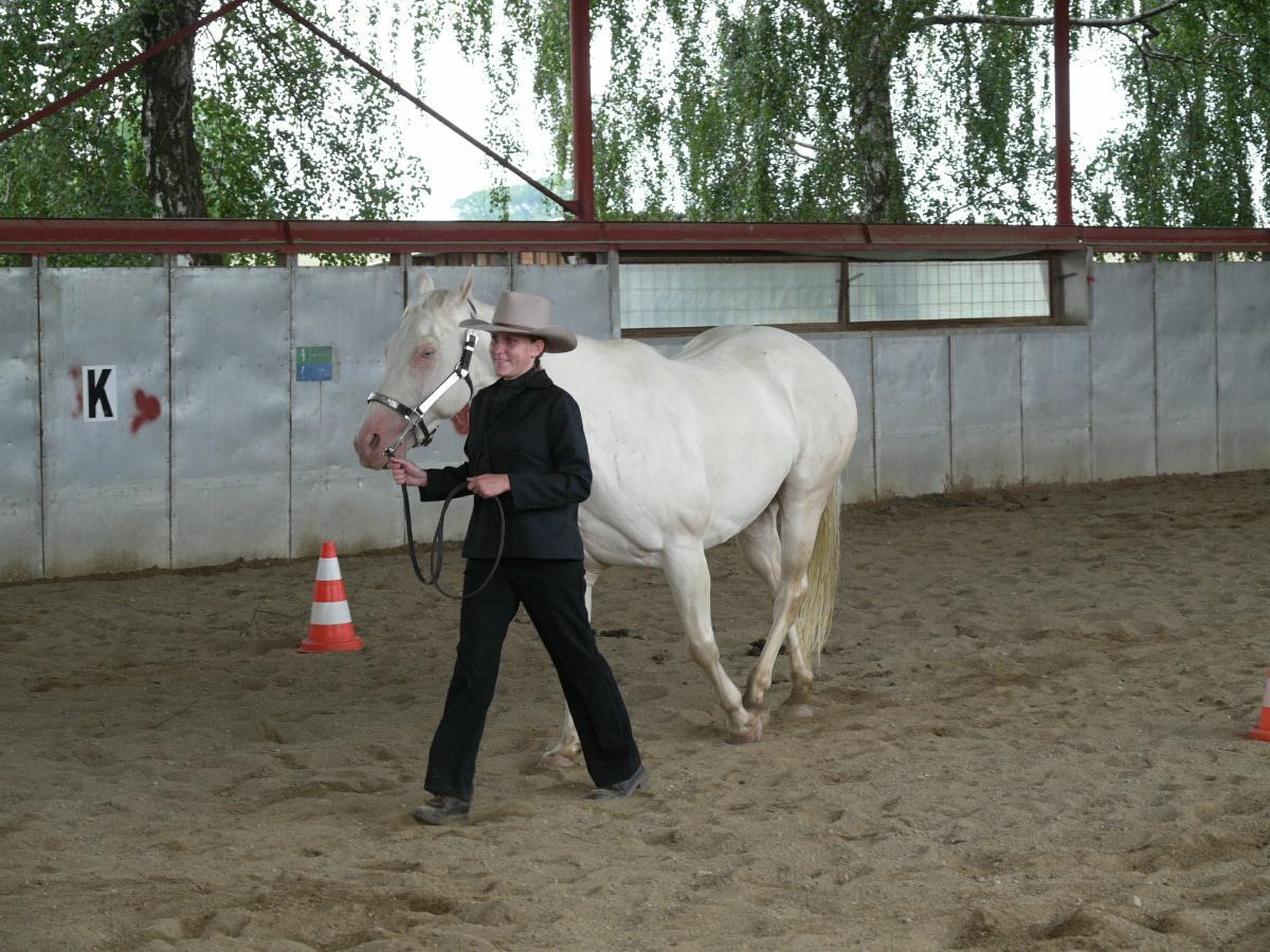 P1030271