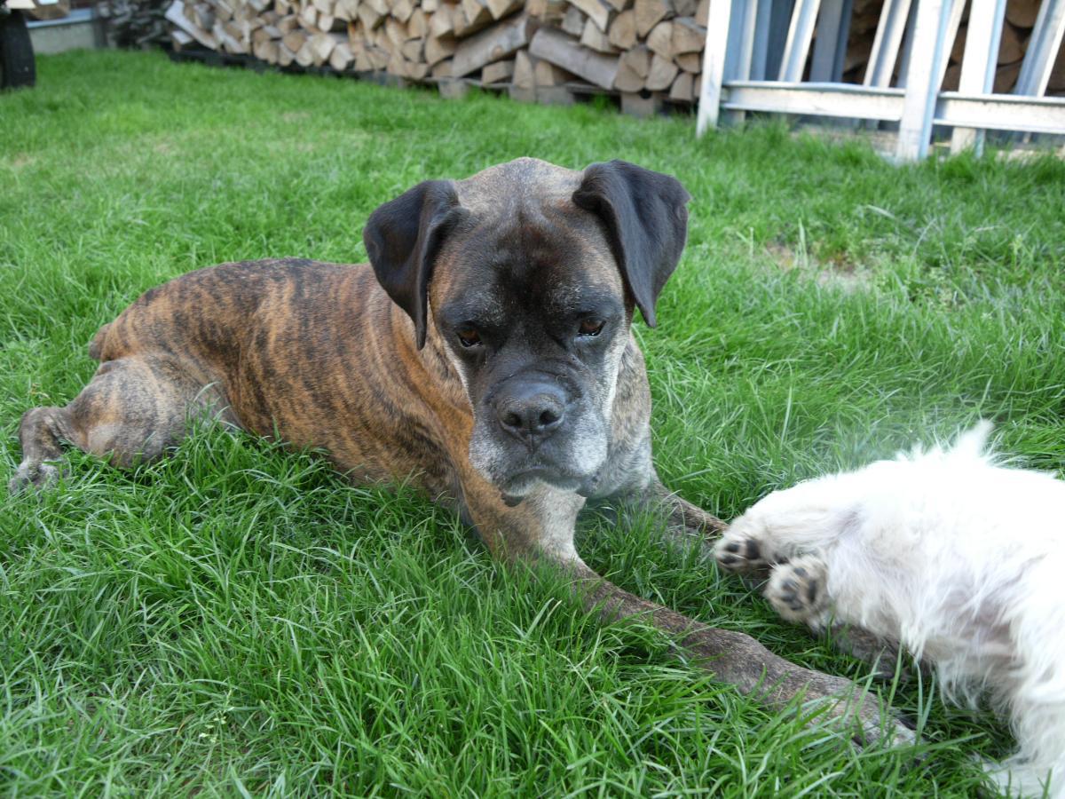 Pořád mě otravuje.. :-(