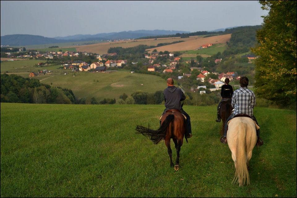 návrat domů