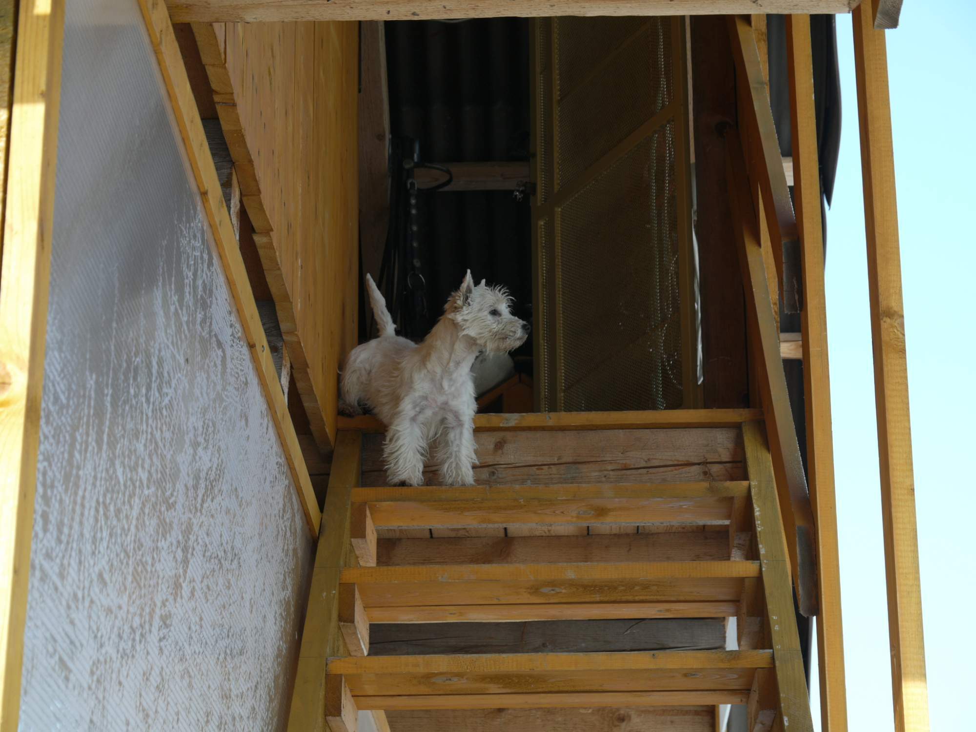 P1050012