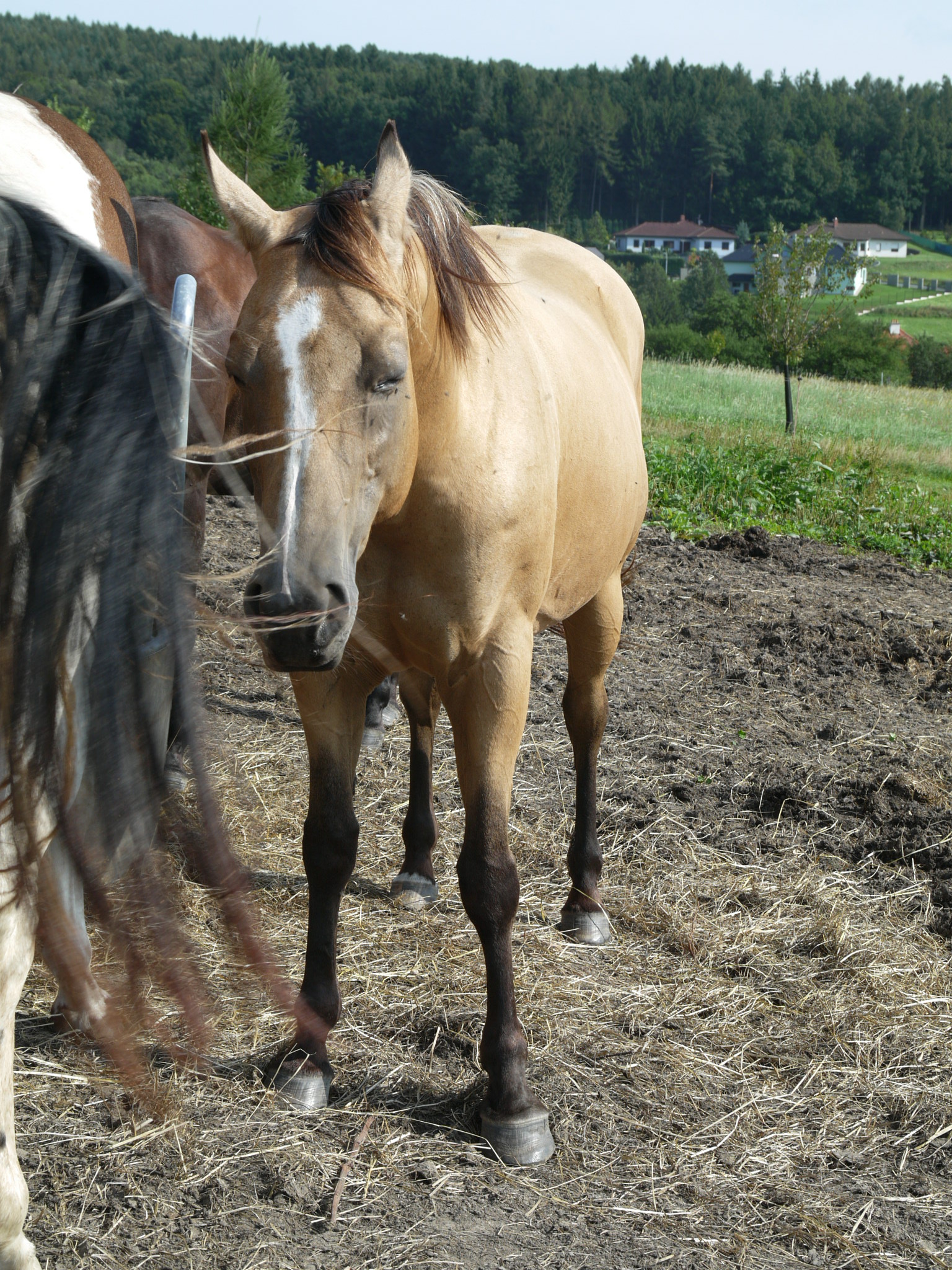 P1090749